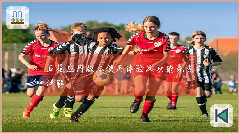 亚星应用版本使用体验及功能亮点详解