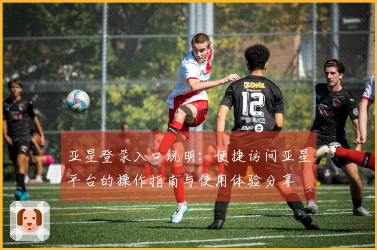 亚星登录入口说明：便捷访问亚星平台的操作指南与使用体验分享